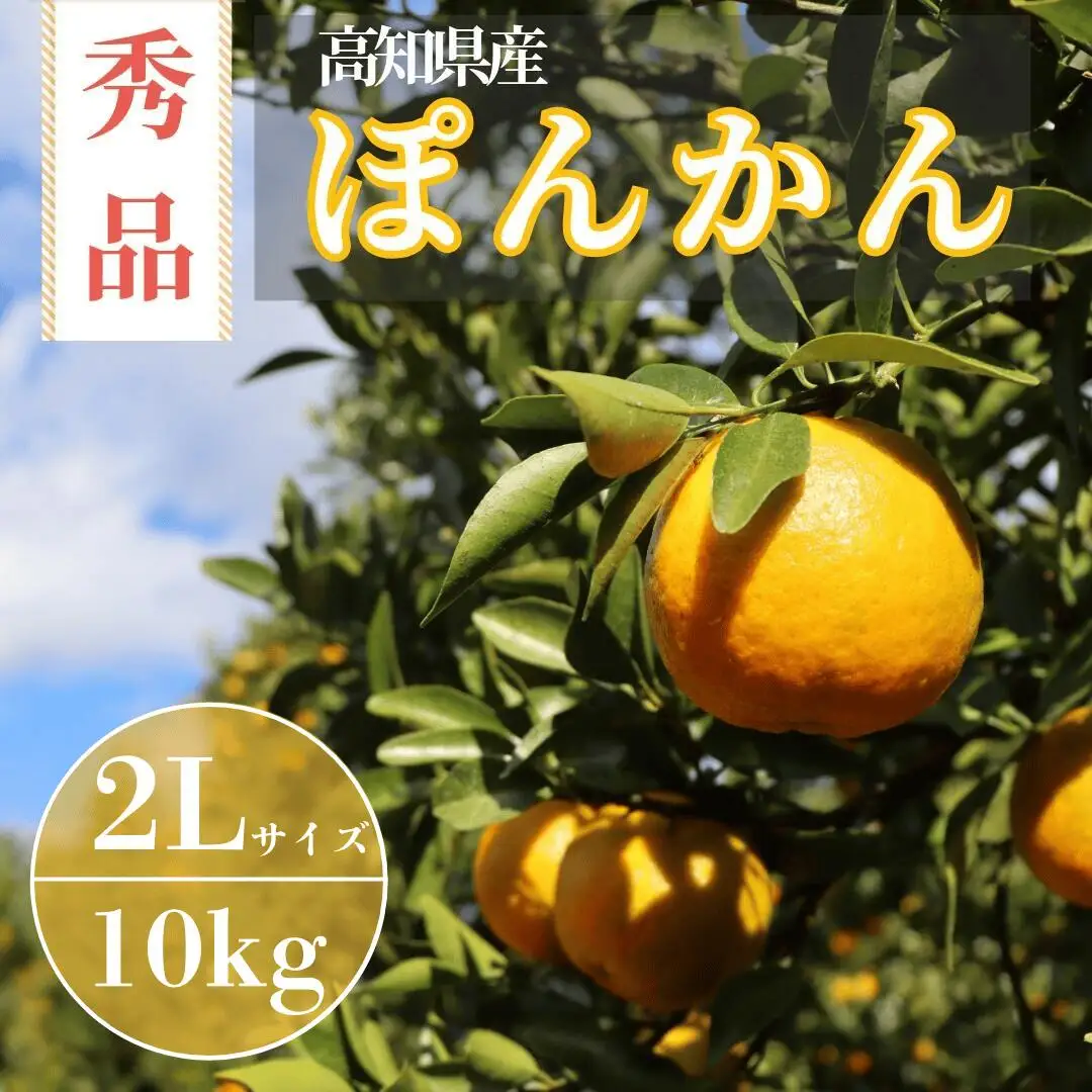 徳村の秀品ぽんかん 2Lサイズ＜10kg＞