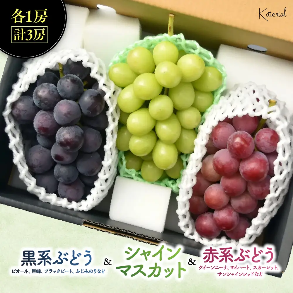 おまかせ！ぶどう3色食べ比べセット　約1.8㎏ シャインマスカット 山梨シャインマスカット
