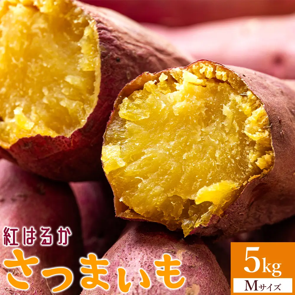 さつまいも(紅はるか) Mサイズ 5kg【さつまいも 香南市産さつまいも おすすめさつまいも 甘いさつまいも 人気さつまいも さつまいも 期間限定さつまいも】  at-0059