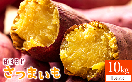 【紅はるか】さつまいも Lサイズ 10kg【さつまいもさつまいもさつまいもさつまいもさつまいもさつまいもさつまいも】 at-0063
