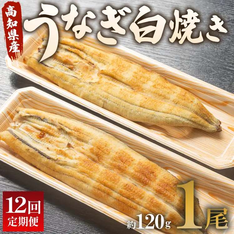 【12回定期便】うなぎ白焼き120g 1尾(無頭) 白焼き Wun-0082