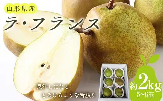 【令和8年産先行予約】 ラ・フランス 約2kg (5～6玉 秀 3L以上) 《令和8年11月上旬～発送》 『田口農園』 ラフランス 西洋梨 洋なし 果物 フルーツ デザート 山形県 南陽市 [1287-R8]