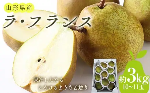 【令和8年産先行予約】 ラ・フランス 約3kg (10～11玉 秀 3L以上) 《令和8年11月上旬～発送》 『田口農園』 ラフランス 西洋梨 洋なし 果物 フルーツ デザート 山形県 南陽市 [1288-R8]
