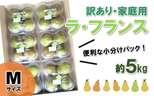【令和8年産先行予約】〈訳あり品 家庭用〉 ラ・フランス 約5kg (4玉×6パック Mサイズ) 《令和8年11月上旬～発送》 『田口農園』 ラフランス 西洋梨 洋なし 果物 フルーツ デザート 山形県 南陽市 [1294-R8]