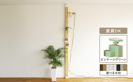 インテリア LABRICO 柱 セット アジャスター ヴィンテージグリーン 平安伸銅工業 ツーバイ材 ツーバイフォー 家具 DIY 突っ張り 突っ張り柱 固定 賃貸 ウッド 木 木材 おしゃれ オシャレ 平安伸銅 ラブリコ 兵庫 兵庫県 姫路 姫路市 ステインブラック