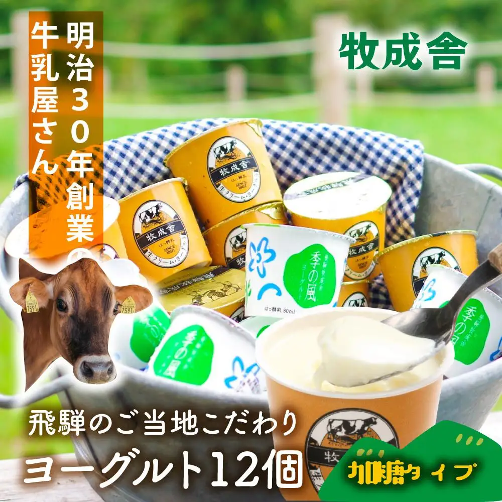 ＜牧成舎＞ 牛乳屋さんのご当地 ヨーグルト 12個（加糖タイプ）| ヨーグルト DF037