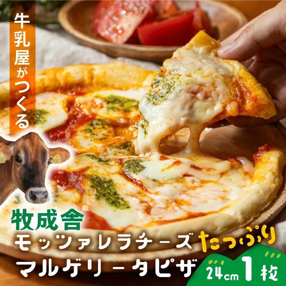 ＜牧成舎＞こだわりの モッツァレラたっぷりマルゲリータピザ（24cm×1枚） | ピザ DF039