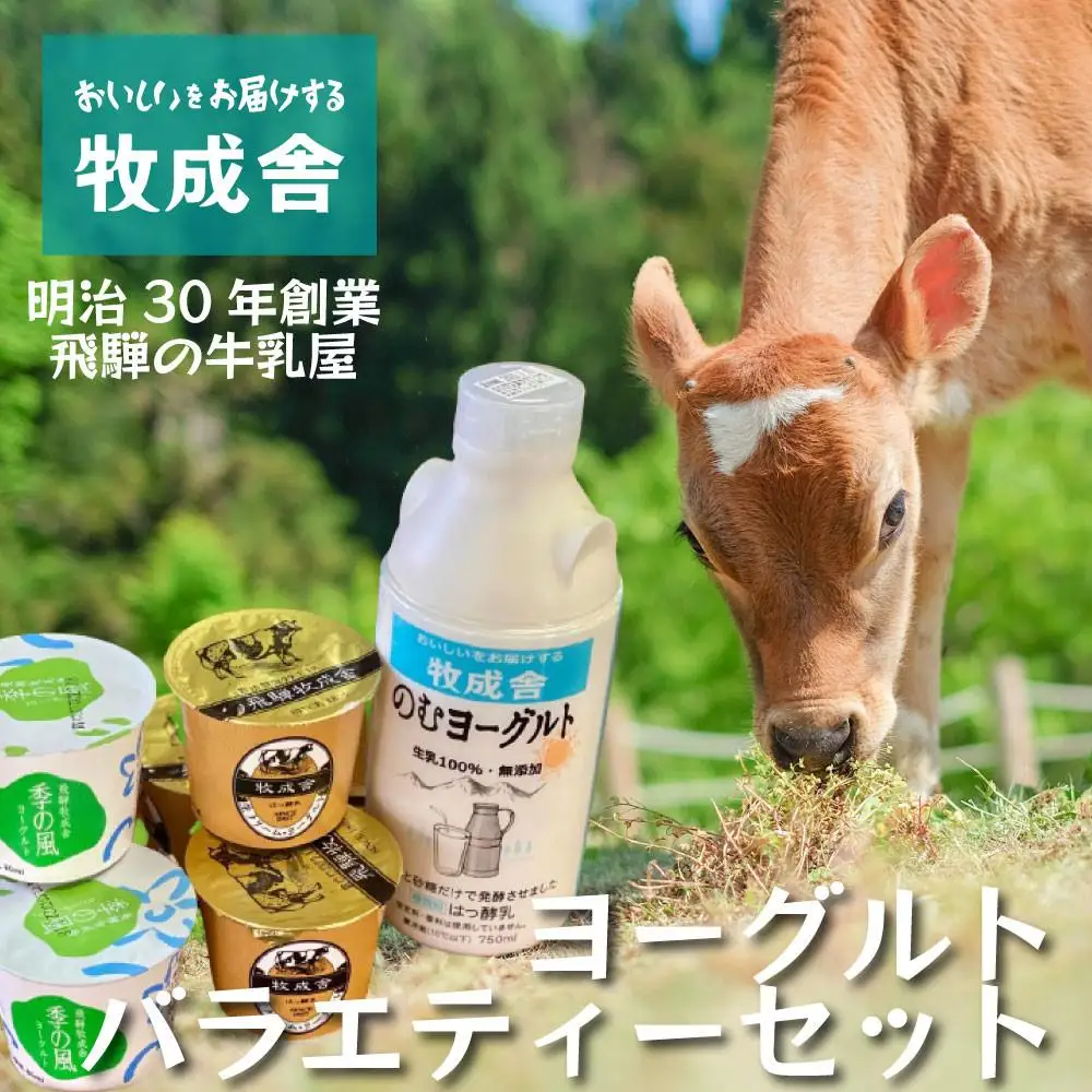 ＜牧成舎＞飛騨の牛乳屋さんが作った こだわりの ヨーグルトバラエティー7点セット（ヨーグルト2種6個・のむヨーグルト750ml×1本）| セット 乳製品 ご当地 無添加 おいしい ヨーグルト ドリンク デザート 飛騨高山 (有)牧成舎 DF041