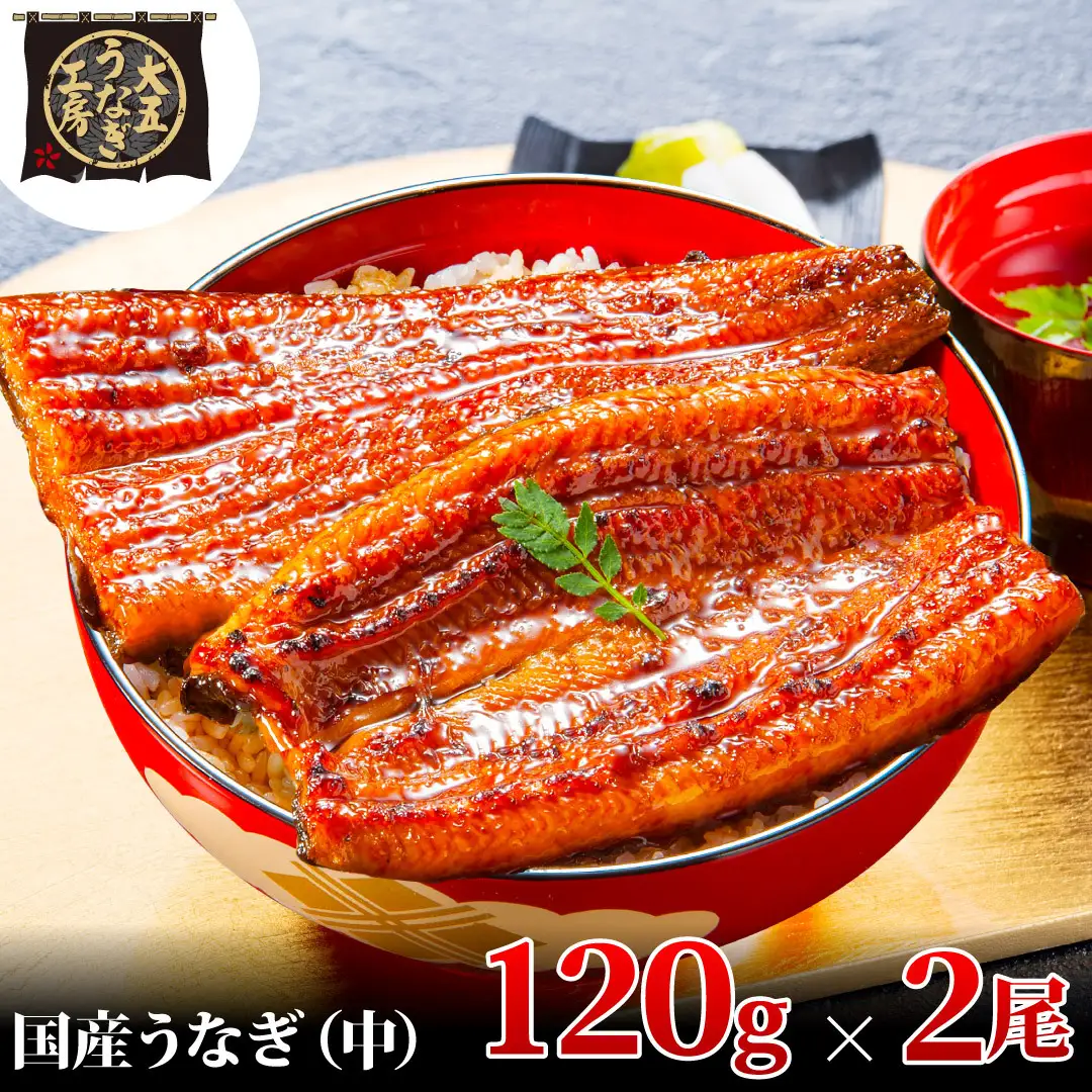 うなぎ 蒲焼 2尾 計240g 国産 大五うなぎ工房 うなぎ
