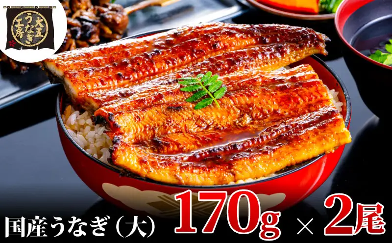 うなぎ 国産 蒲焼 2尾 計340g 大五うなぎ工房 冷凍 うなぎ