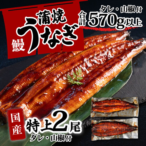 うなぎ 国産 特上 ウなぎ 蒲焼き 2尾 570g ウナギ 
