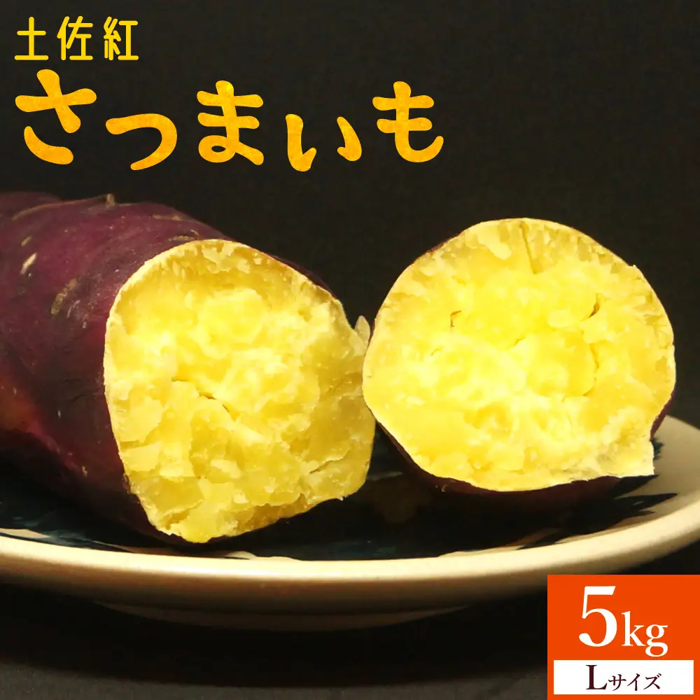 【2026年発送分】さつまいも(土佐紅) Lサイズ 5kg 野菜 野菜 at-0053