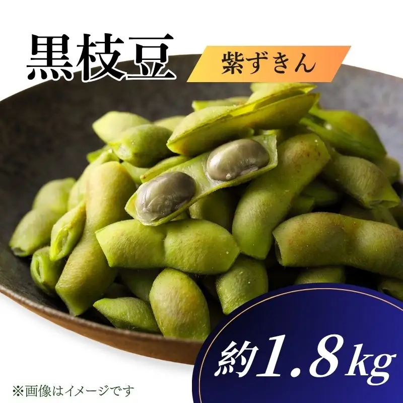 先行予約 【丹波の黒枝豆】京都府産 黒枝豆 紫ずきん 優品 180g×10袋 約1.8kg 12,480円
