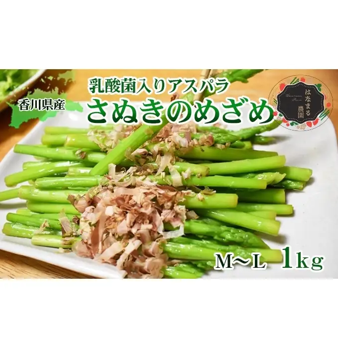 令和8年産　はなまる農園の乳酸菌入りアスパラ【さぬきのめざめ1kg】М～L アスパラガス 野菜 野菜セット 