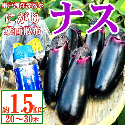 農家直送　土佐の美味茄子の新鮮ナス　1.5kg　（室戸海洋深層水にがり使用） 野菜 なす ナス 常温 小袋 国産 夏野菜 茄子 小分け 旬 5000円 高知