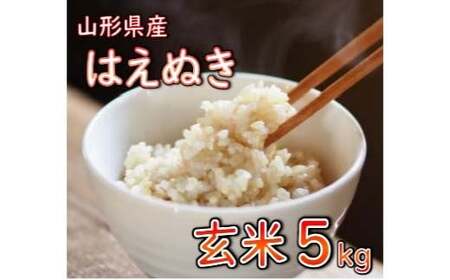 【令和7年産】 山形県産 はえぬき 玄米 5kg 米 コメ こめ F3S-2888