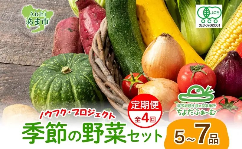 野菜詰合せ 季節の野菜 有機栽培 無農薬 千代田ファーム 野菜詰合せ【定期便 全4回】【冷蔵】