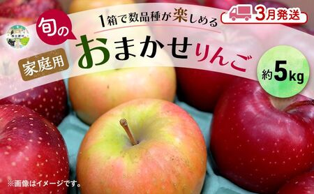 りんご詰合せ 品種おまかせ青森県産家庭用 りんご詰合せ【約5kg 2〜4品種】【3月発送】
