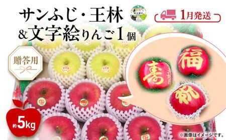 りんご詰合せ サンふじ王林文字絵入りりんご贈答用 りんご詰合せ【約5kg＋文字絵入り1個】【1月発送】