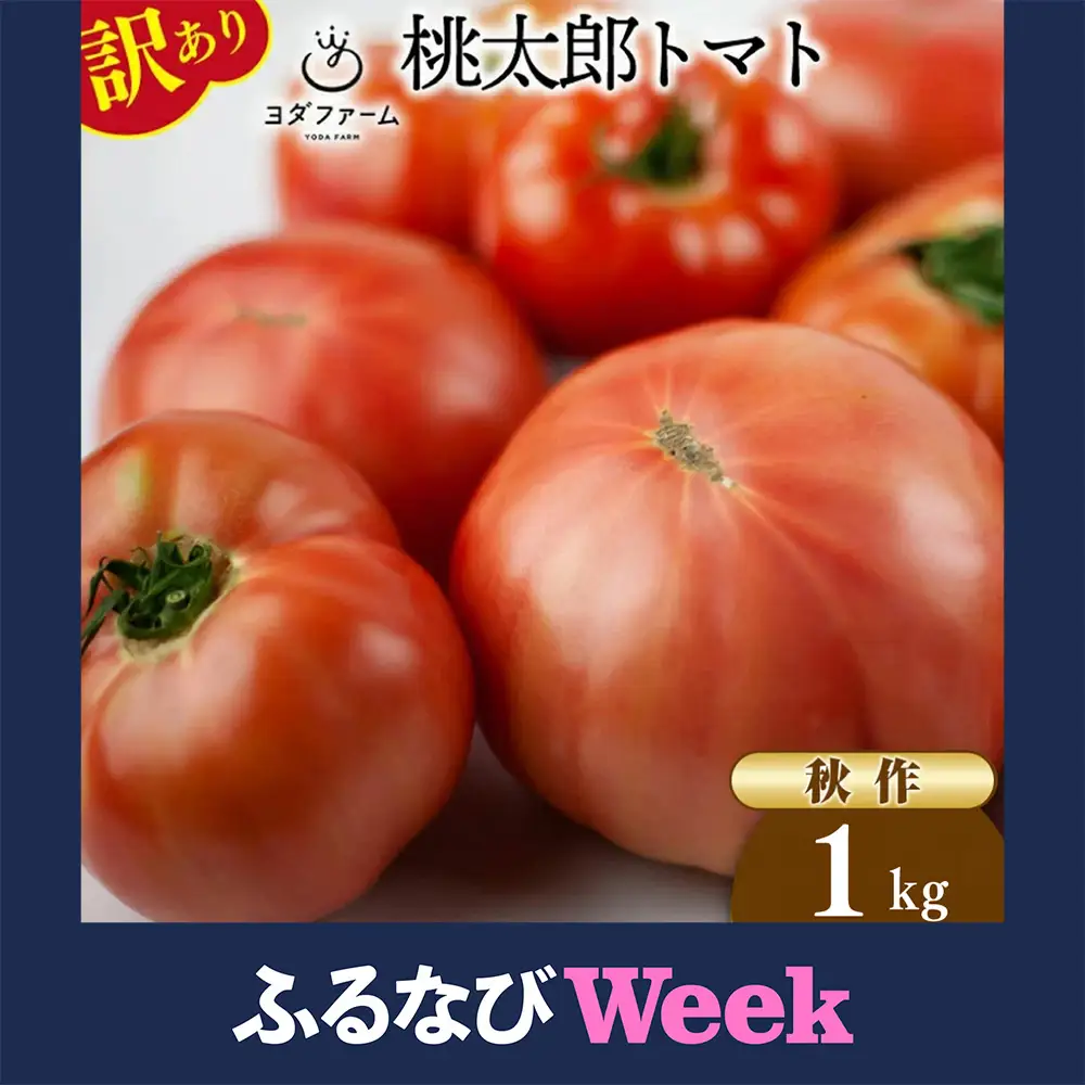 【ふるなびWEEK対象】【2026年10月下旬-12月下旬発送予定】 秋作 訳あり 桃太郎トマト 1kg [ヨダファーム]