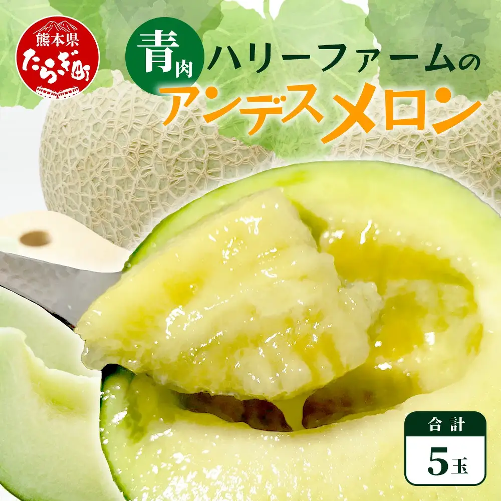 【2027年5月上旬～発送】アンデスメロン 青肉 5玉 (合計 約4.5～5kg) 先行予約 熊本県 多良木町産 果物 フルーツ メロン 先行予約 5個 青肉 ミツバチ交配 期間限定 数量限定 109-0501