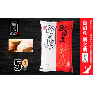 【令和7年産】魚沼産新之助(玄米)5kg 米 お米 玄米 しんのすけ 中魚沼 新潟県 十日町市