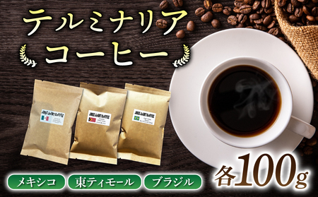【粉に挽く】産地違いコーヒー豆　3種類飲み比べ （メキシコ/東ティモール/ブラジル）各100g｜テルミナリアコーヒー コーヒー豆ドリップコーヒーレギュラーコーヒー