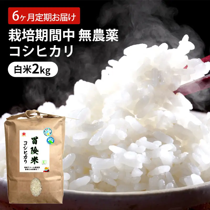 【定期便】 コシヒカリ 6回 栽培期間中 無農薬 白米 コシヒカリ