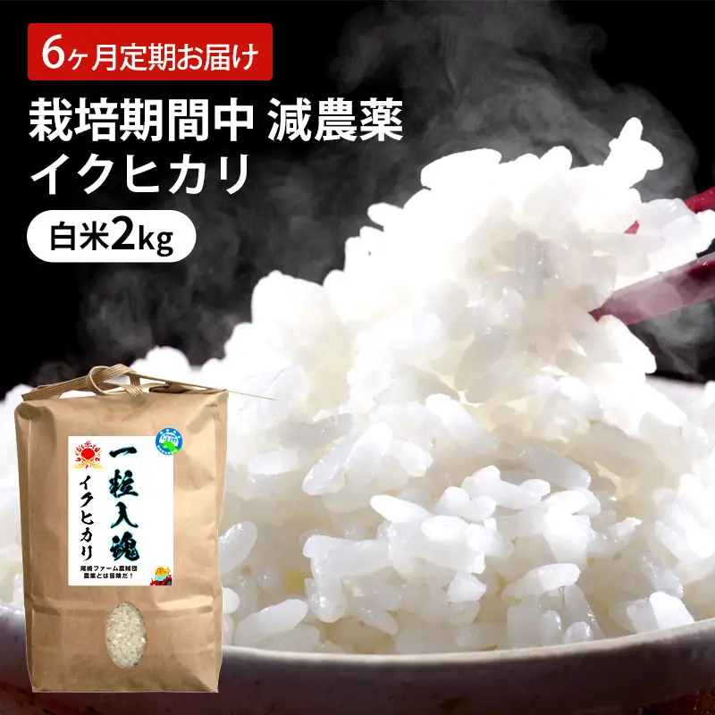 【定期便】 イクヒカリ 6回 栽培期間中 減農薬 白米 イクヒカリ