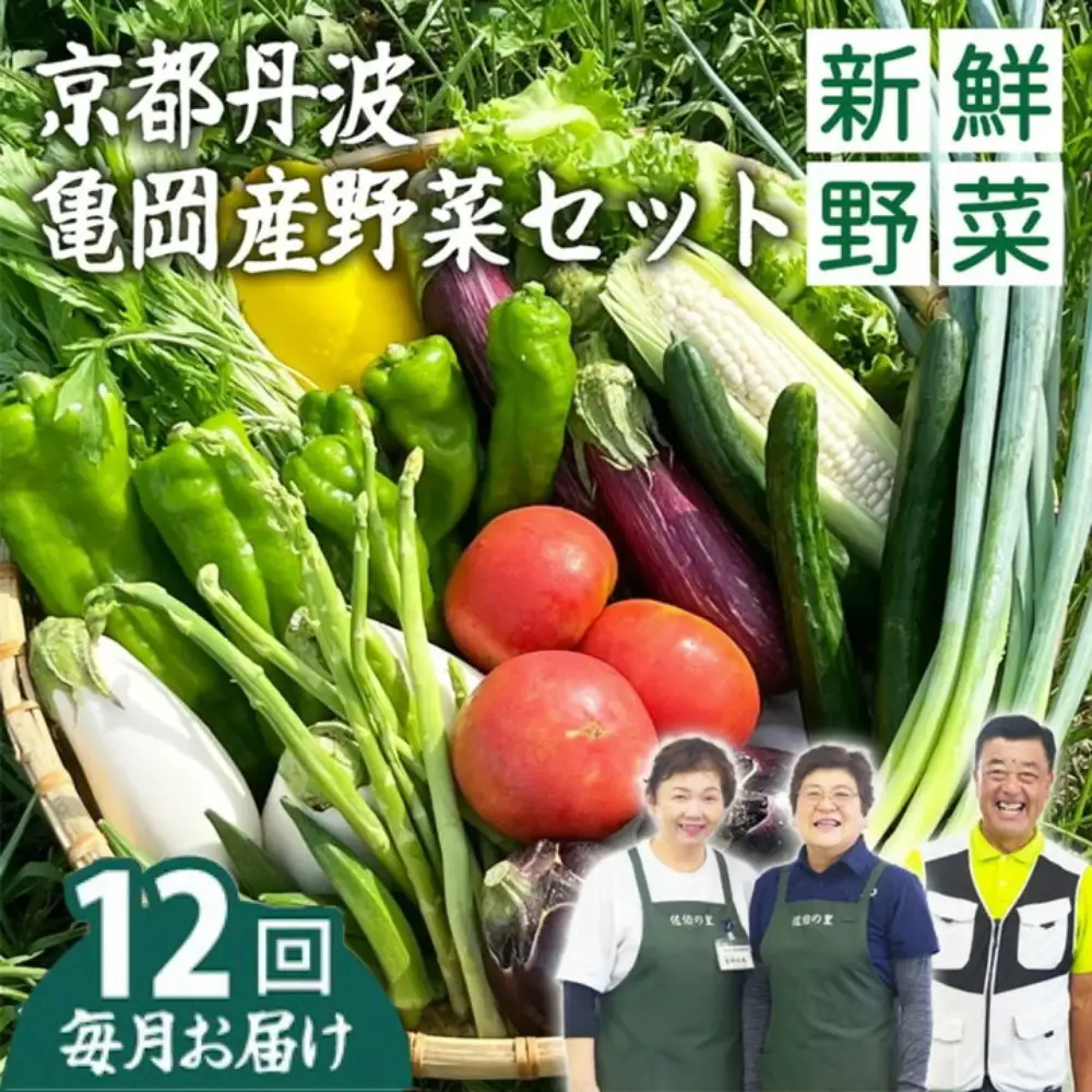 【12回定期便】旬の朝採れ 新鮮野菜セット 野菜 7～10品 