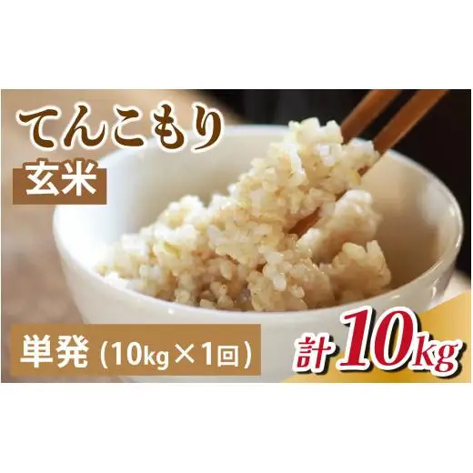 25年10月中旬以降順次発送 富山県滑川産「てんこもり」与文のお米（玄米10kg）産地直送 袋 玄米10kg おにぎり お米 白米 国産 ご飯 ごはん 富山県 滑川市 アグリめぐみ B-050001