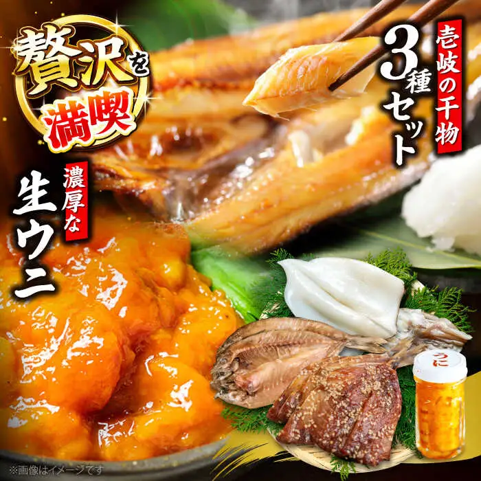 うに60g＋いか＋あじみりん＋あじの干物 《壱岐市》【合同会社塚元】 [JDR027]