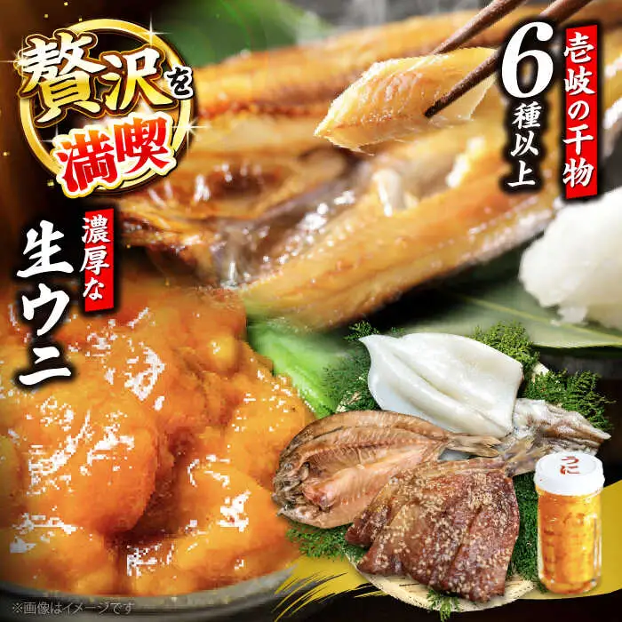 旬のイカ一夜干し2枚＋あじみりん＋あじの干物＋いわしみりん＋旬の干物（かます＋鯛＋いさき＋かさご＋あかはた＋アコウ＋ムツなど）＋うに60g 《壱岐市》【合同会社塚元】 [JDR028]