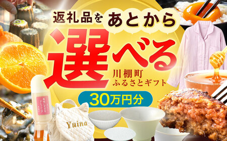 【あとから選べる】川棚町ふるさとギフト 30万円分　長崎県 川棚町[OZZ021]