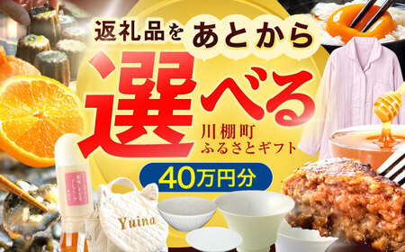 【あとから選べる】川棚町ふるさとギフト 40万円分　長崎県 川棚町[OZZ022]
