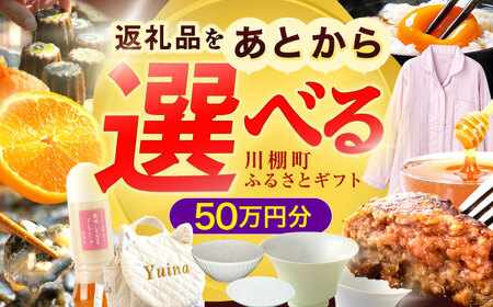 【あとから選べる】川棚町ふるさとギフト 50万円分　長崎県 川棚町[OZZ023]