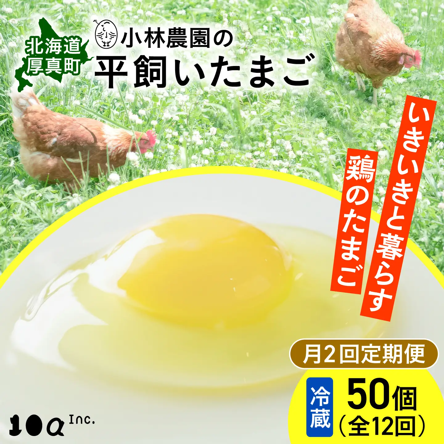 【月2回 6ヵ月定期便】平飼い有精卵 50個 計600個 冷蔵便  [AXAN022]