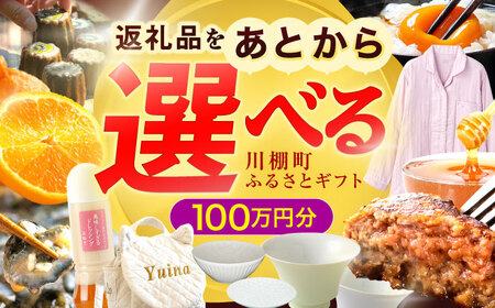 【あとから選べる】川棚町ふるさとギフト 100万円分 長崎県[OZZ024]