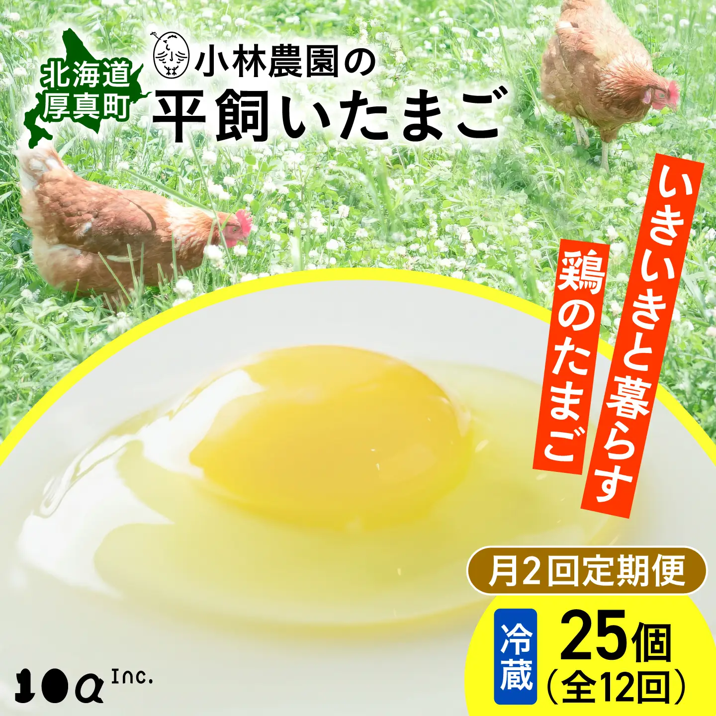 【月2回 6ヵ月定期便】平飼い有精卵 25個 計300個 冷蔵便 [AXAN027]