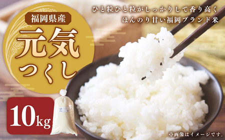 【令和6年産】福岡県ブランド米「元気つくし」10kg 米 お米 白米 精米 岡垣町 【2025年1月下旬より発送開始】
