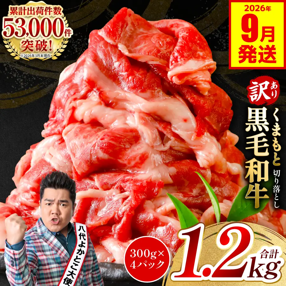 【訳あり】 牛肉 くまもと黒毛和牛 切り落とし 1.2kg（ 300g × 4 ） 【2026年9月発送】 牛肉