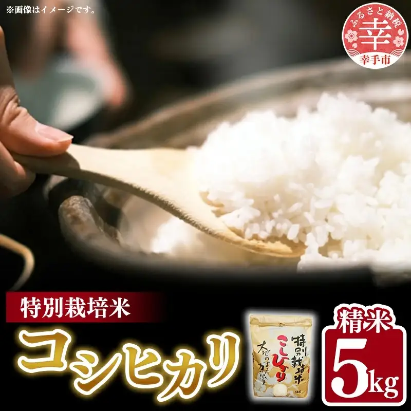 令和6年度産【特別栽培米】コシヒカリ 5kg - こしひかり 5kg 令和6年産 精米 埼玉県 幸手市 幸手市産