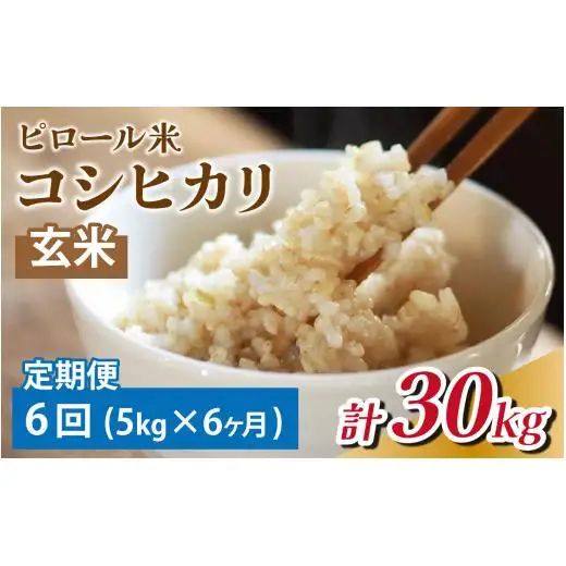 【6ヶ月定期便】富山県滑川産 弱アルカリ性米「ピロール農法米 コシヒカリ」（玄米5kg）×6回 計30kg 与文のお米 産地直送 こしひかり おにぎり お米 白米 国産 ご飯 ごはん 滑川市 ピロール アグリめぐみ 頒布会  アトピー 米