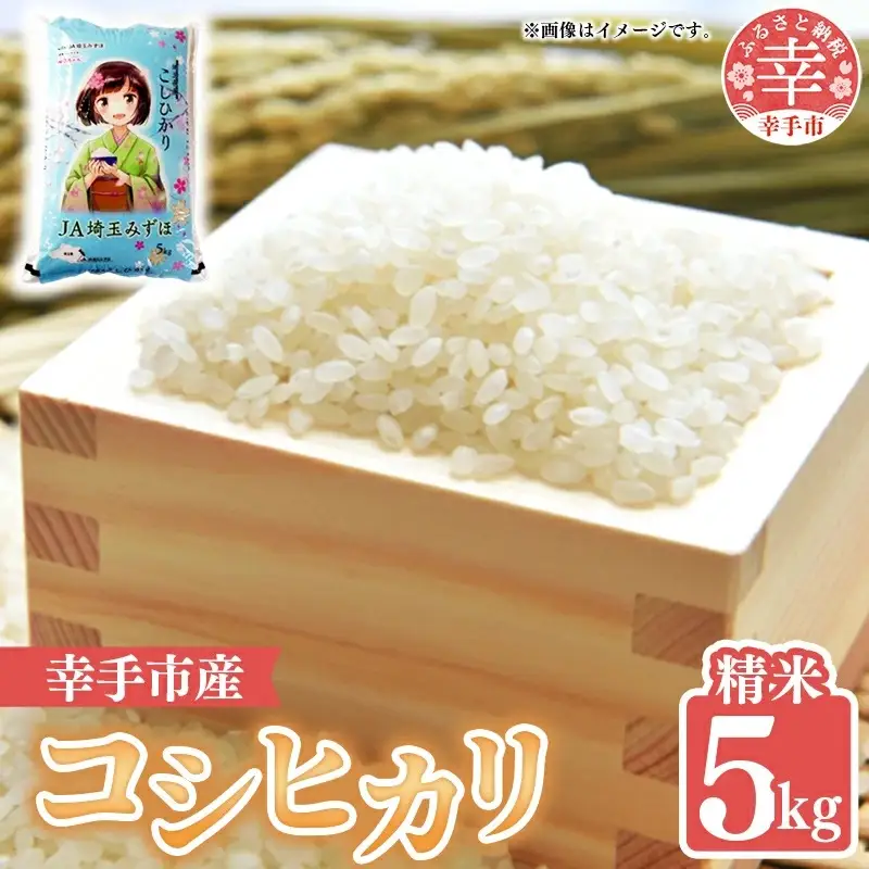 令和6年度産 コシヒカリ 5kg - こしひかり 5kg 令和6年産 精米 埼玉県 幸手市 幸手市産