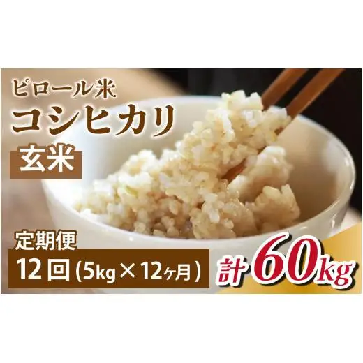 【12ヶ月定期便】富山県滑川産 弱アルカリ性米「ピロール農法米 コシヒカリ」（玄米5kg）×12回 計60kg 与文のお米 産地直送 こしひかり おにぎり お米 白米 国産 ご飯 ごはん 滑川市 ピロール アグリめぐみ 頒布会  アトピー 米