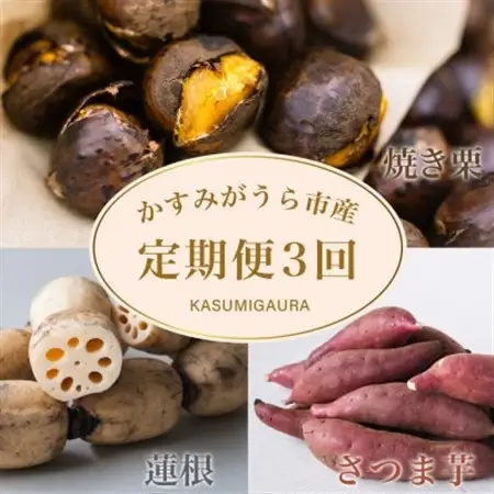 【発送月固定定期便】茨城県 特産品3種全3回_果物・フルーツ 栗  くり クリ  野菜 さつまいも いも サツマイモ 薩摩芋  野菜 レンコン 根菜 れんこん 蓮根  定期便 定期便  _【配送不可地域：離島】【4062740】