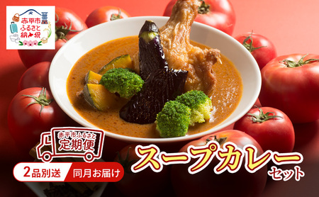 スープカレーセットレトルト惣菜鶏肉唐揚げスープカレーセット【2品】