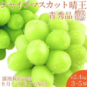 【2026年 予約受付中】 シャインマスカット 晴王 約2.4kg(3～5房) 9月～10月出荷/ 岡山県産 種無し 皮ごと食べる みずみずしい フレッシュ 晴れの国 おかやま 果物大国 彩美菜果 [№5735-2118