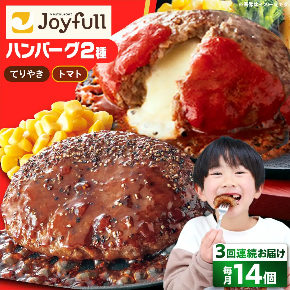 【全3回定期便】ジョイフル ハンバーグ スペシャル 詰め合わせ 2種 14個 セット [ABAA075]