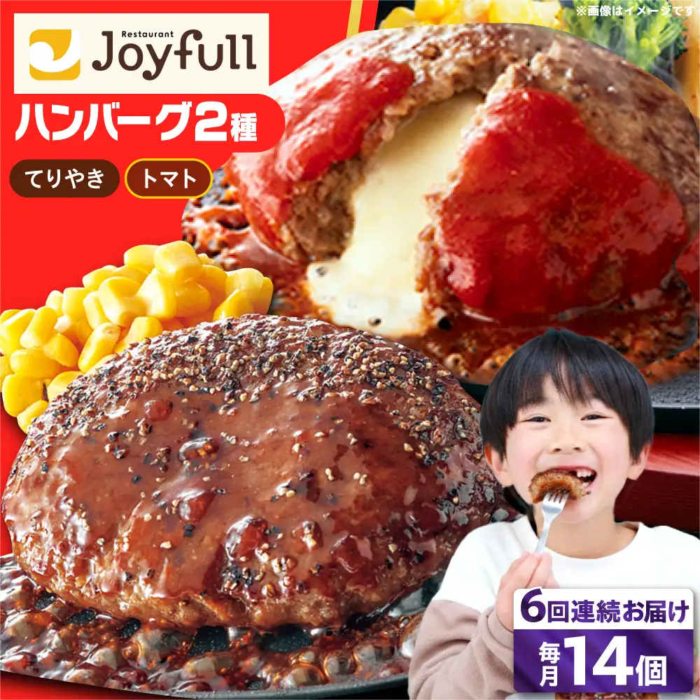 【全6回定期便】ジョイフル ハンバーグ スペシャル 詰め合わせ 2種 14個 セット [ABAA076]